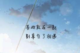 盘龙侦探公司