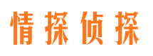 盘龙侦探公司